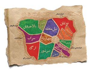 IMG_20250309_113315_564